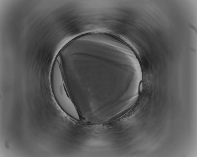 X0000095110959200801041157