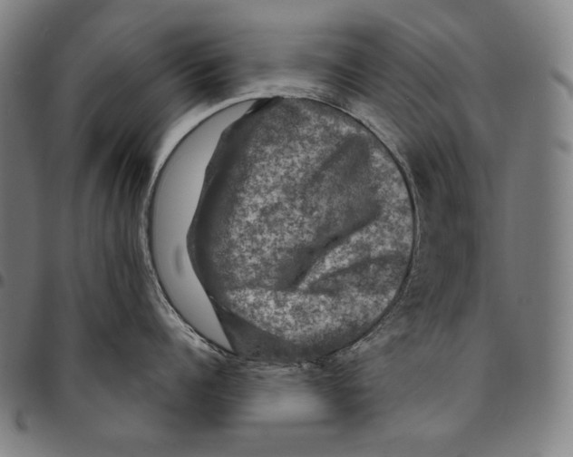 X0000095110960200801041157