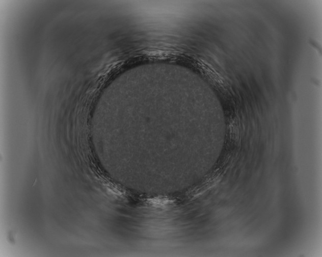 X0000095110961200801041157