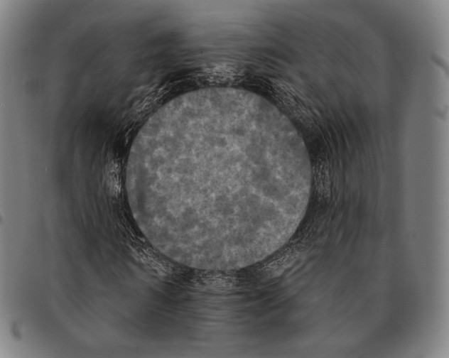 X0000095110962200801041157