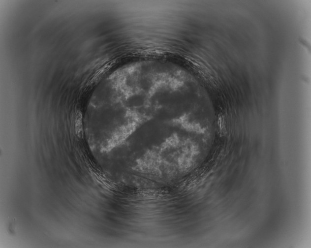 X0000095110963200801041157