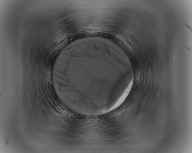 X0000095110964200801041157