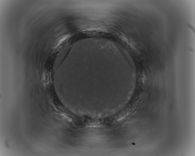 X0000095110965200801041157