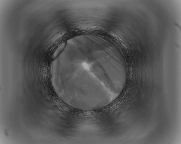 X0000095110966200801041157