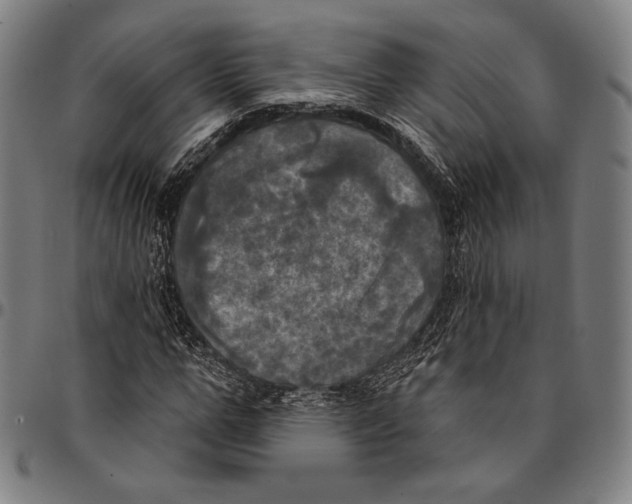X0000095110967200801041157