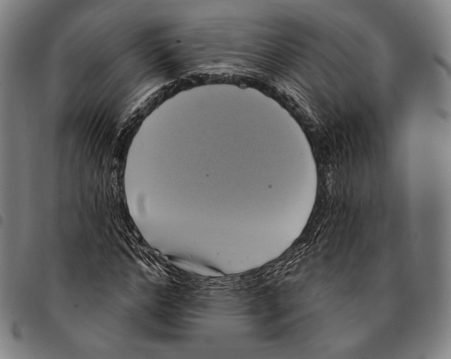 X0000095110968200801041156