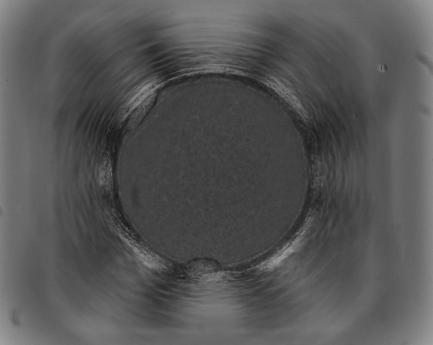 X0000095110969200801041156