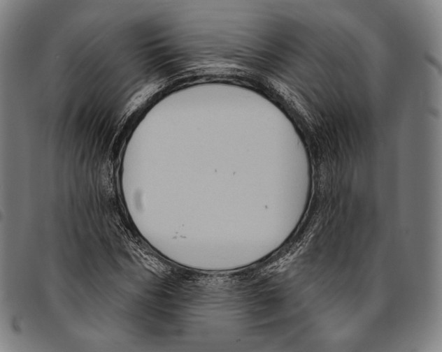 X0000095110970200801041156