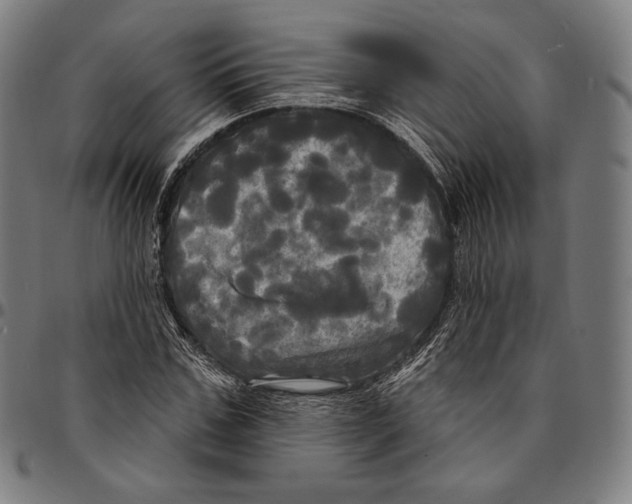 X0000095110971200801041156