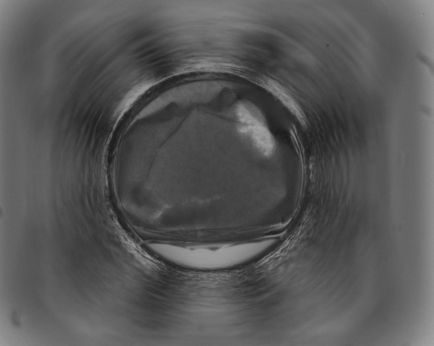 X0000095110972200801041156