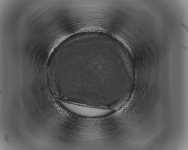 X0000095110973200801041156