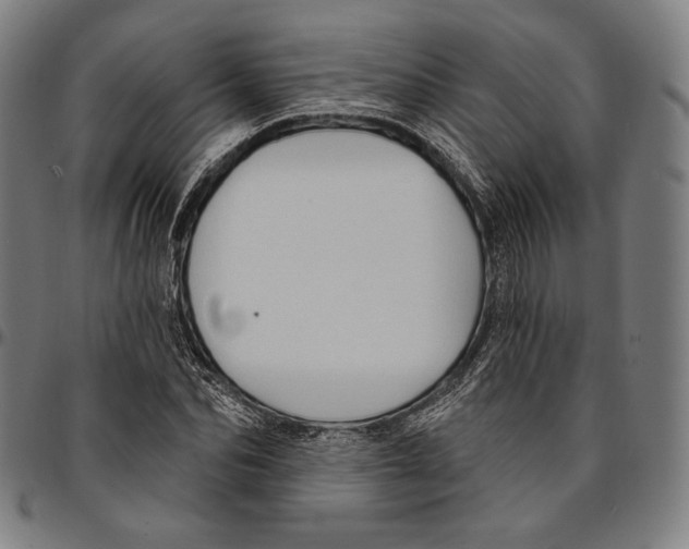 X0000095110974200801041156