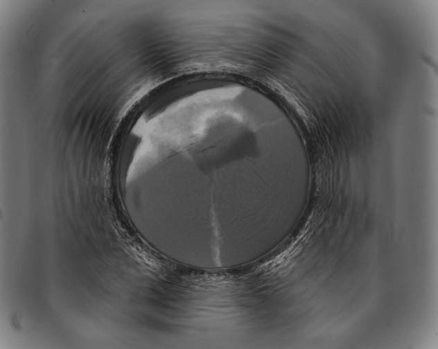 X0000095110975200801041156