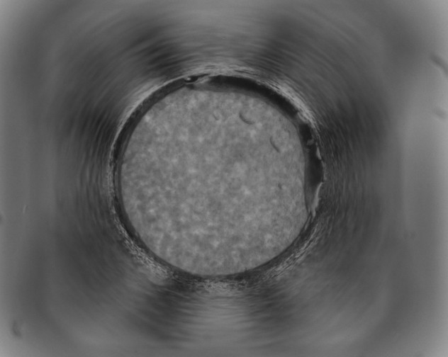 X0000095110976200801041156