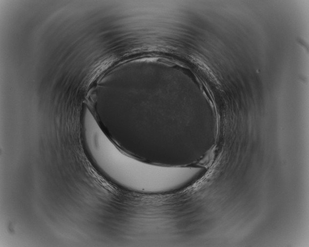 X0000095110977200801041156