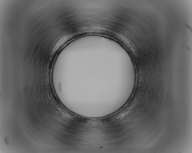 X0000095110978200801041156