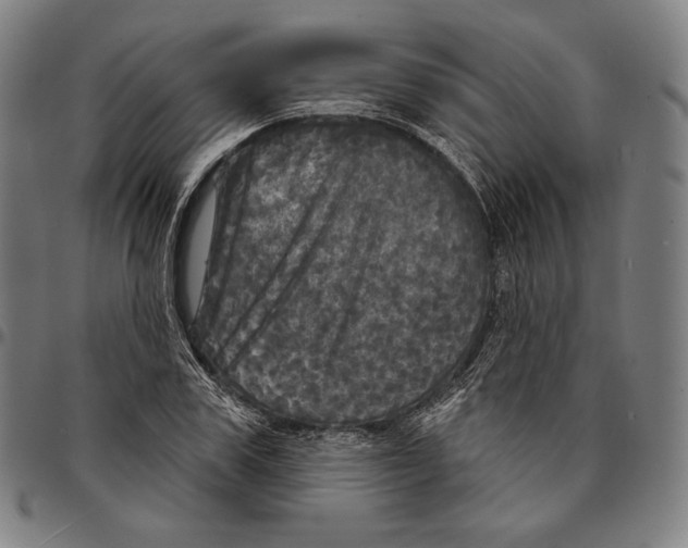 X0000095110979200801041156