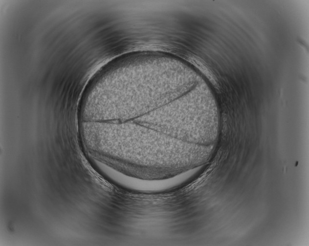 X0000095110980200801041156