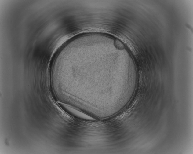 X0000095110982200801041156