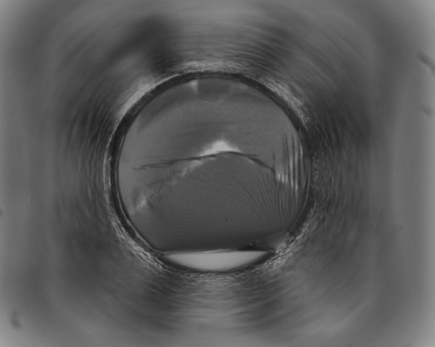 X0000095110983200801041156