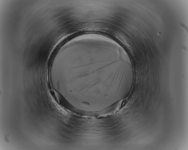 X0000095110984200801041156