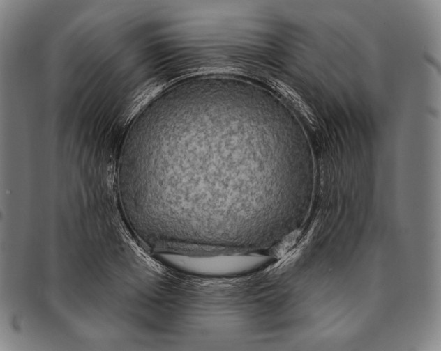 X0000095110985200801041156
