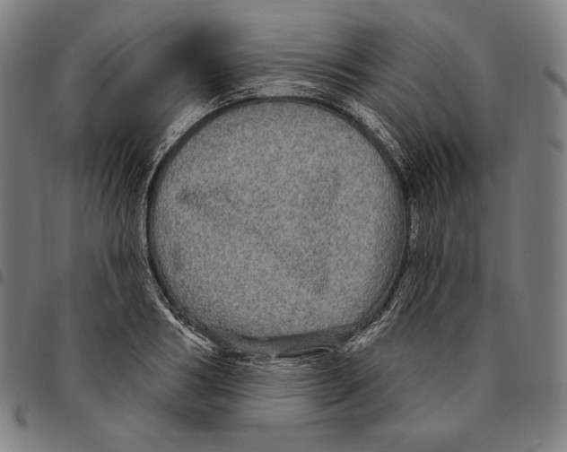 X0000095110986200801041156