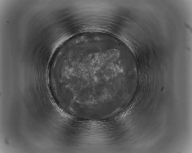 X0000095110987200801041156