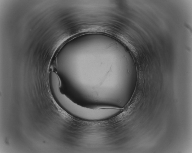 X0000095110988200801041156