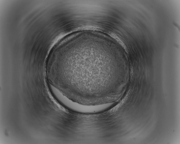 X0000095110989200801041156
