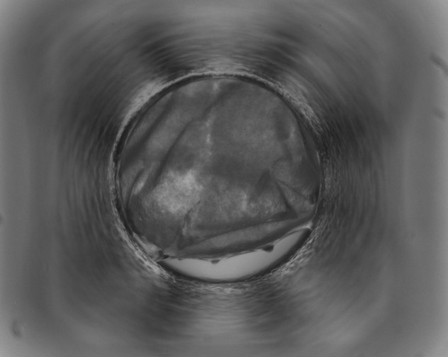 X0000095110990200801041156