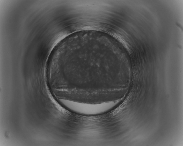 X0000095110991200801041156