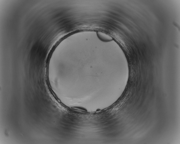 X0000095110992200801041156