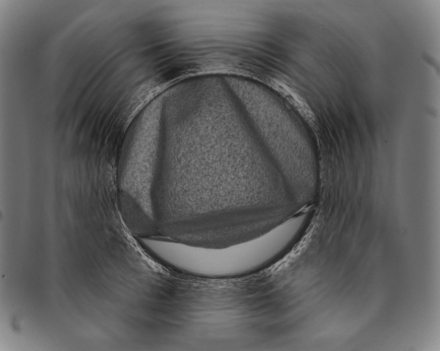 X0000095110993200801041156