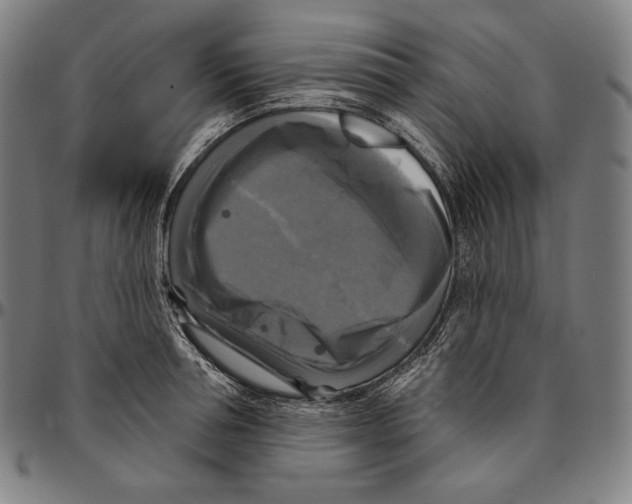 X0000095110994200801041156