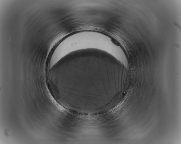 X0000095110995200801041156