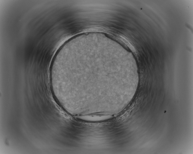 X0000095110996200801041156