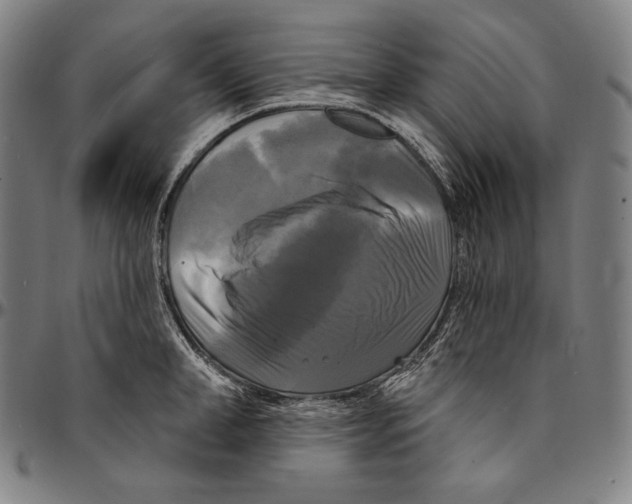X0000095110998200801041156
