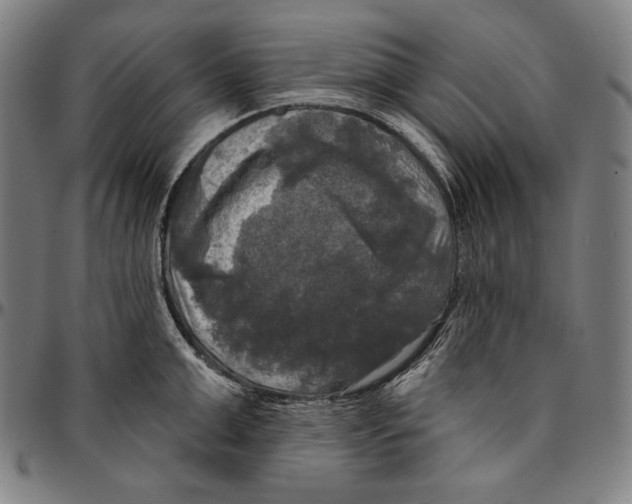 X0000095110999200801041156