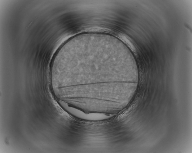 X0000095111000200801041156