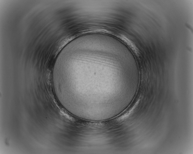 X0000095111001200801041156