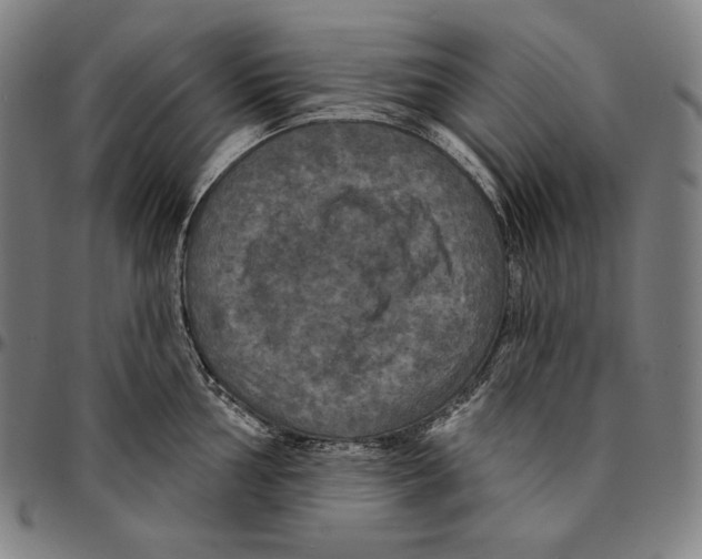 X0000095111002200801041156