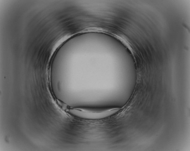X0000095111003200801041156