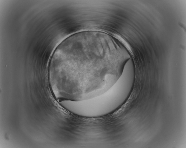 X0000095111004200801041156