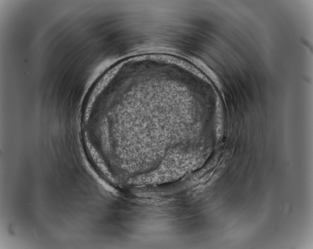 X0000095111005200801041156