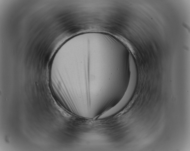 X0000095111006200801041156