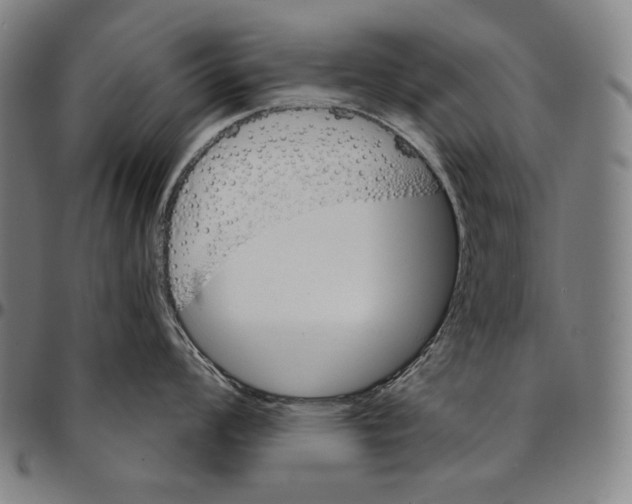 X0000095111008200801041156