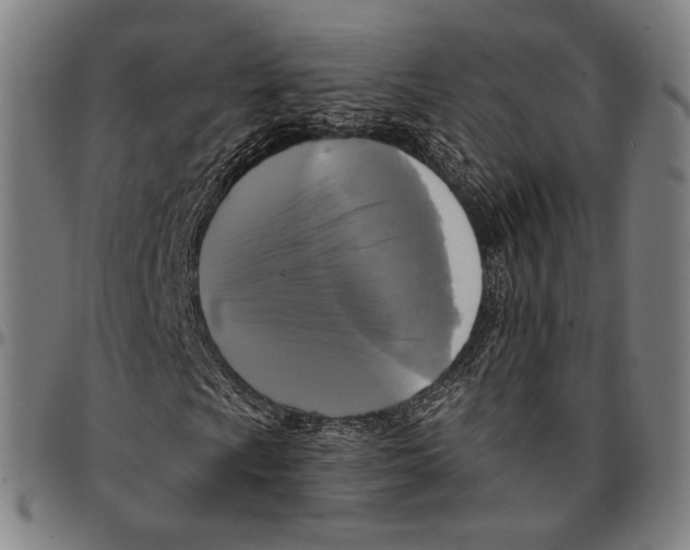 X0000095111009200801041155