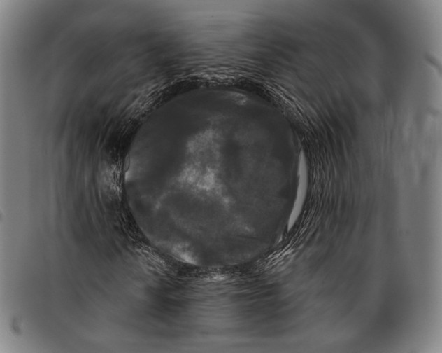 X0000095111010200801041155