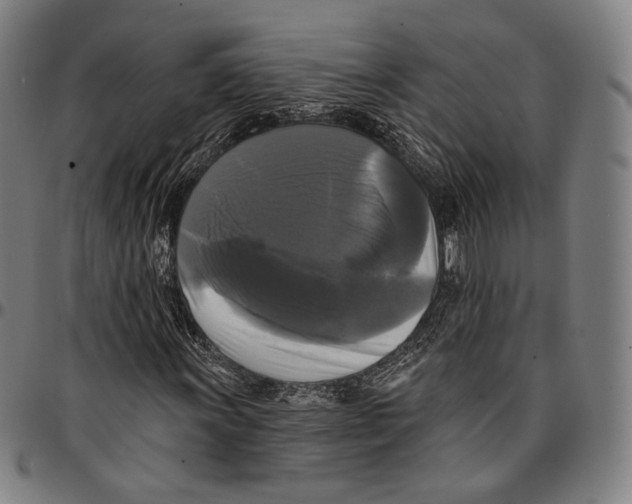 X0000095111011200801041155